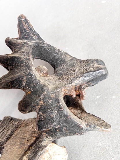 Cast Iron Fire Dog by Olle Hermansson for Husqvarna, Sweden, 1960s