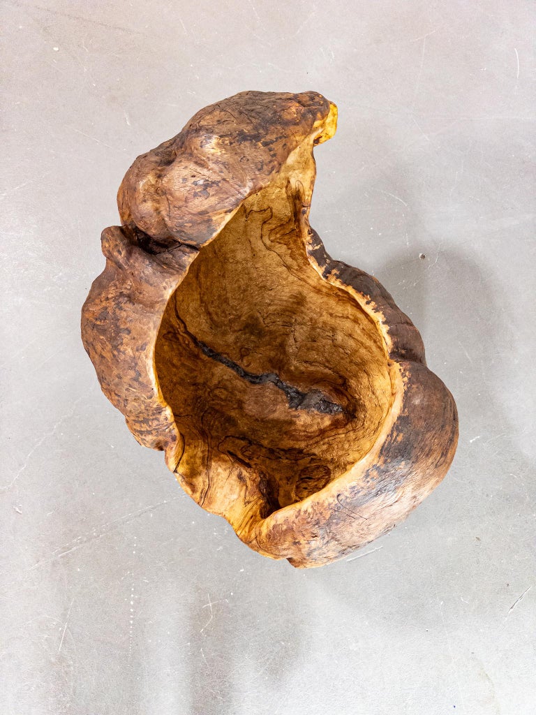 Monumental 19th Century Scandinavian Burl Wood Vessel – Organic Sculpture