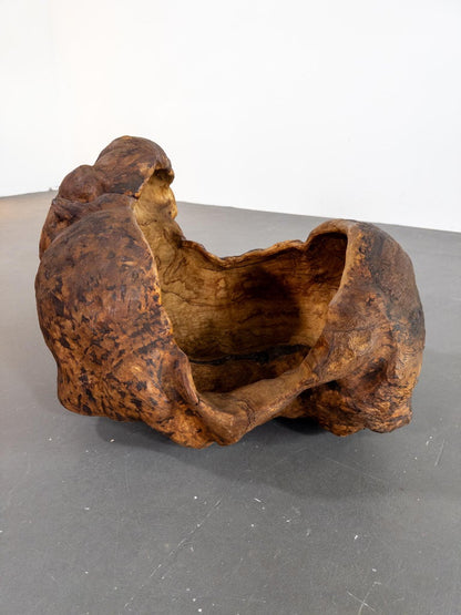 Monumental 19th Century Scandinavian Burl Wood Vessel – Organic Sculpture