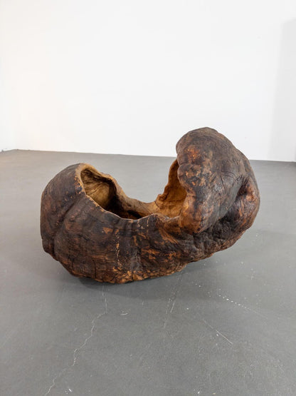 Monumental 19th Century Scandinavian Burl Wood Vessel – Organic Sculpture