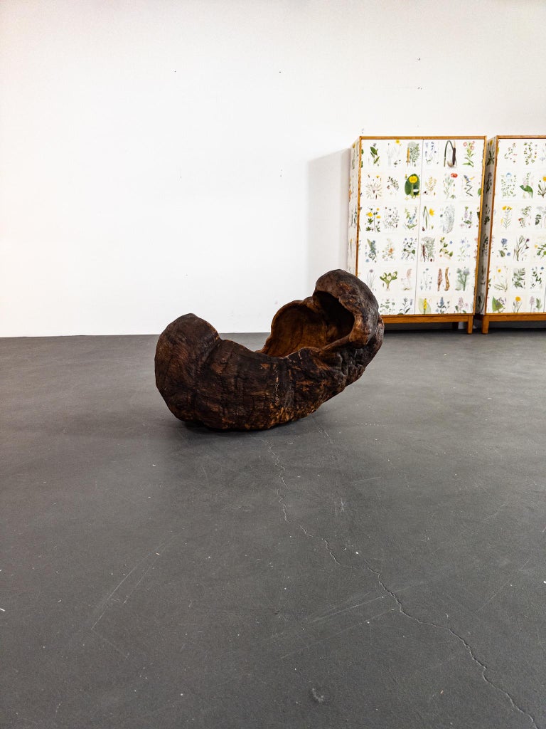 Monumental 19th Century Scandinavian Burl Wood Vessel – Organic Sculpture
