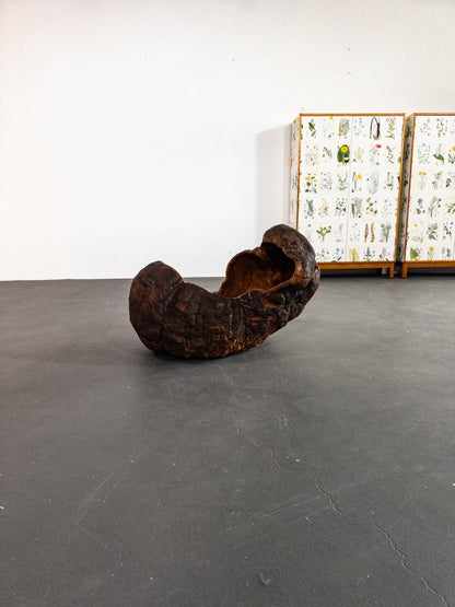 Monumental 19th Century Scandinavian Burl Wood Vessel – Organic Sculpture