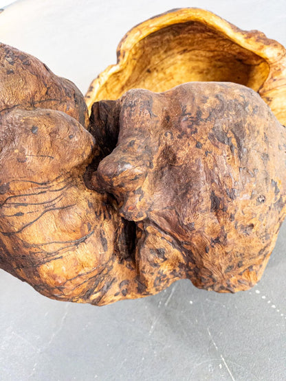 Monumental 19th Century Scandinavian Burl Wood Vessel – Organic Sculpture