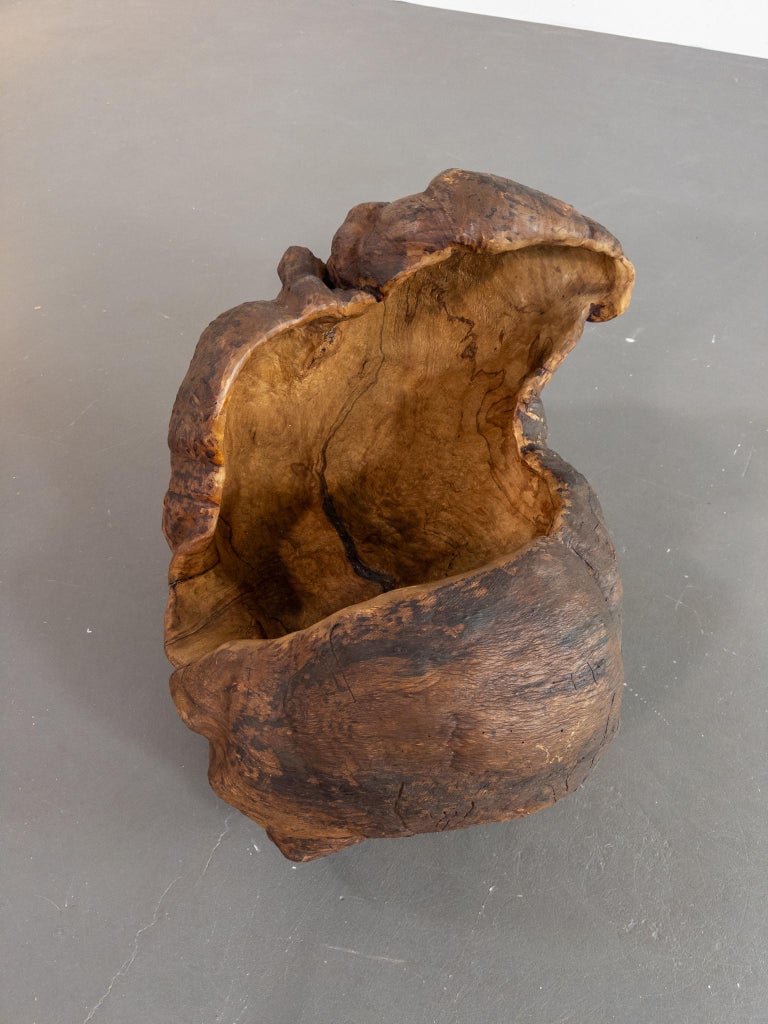 Monumental 19th Century Scandinavian Burl Wood Vessel – Organic Sculpture