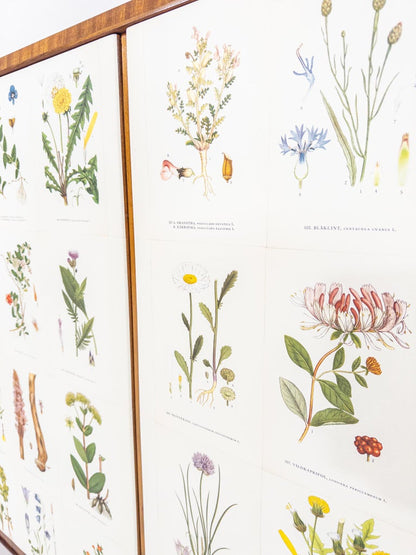 Swedish Modern “Flora” Sideboard, 1940s